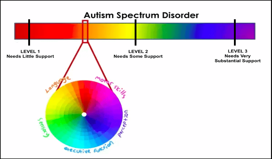 spectrum of autism test