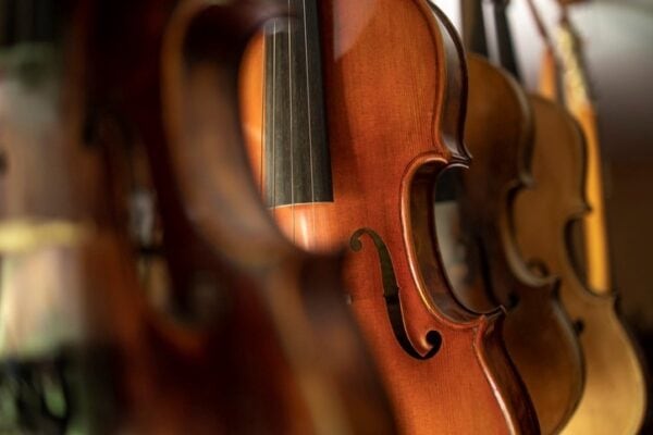 closeup of violins