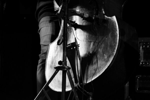 black and white closeup of double bass
