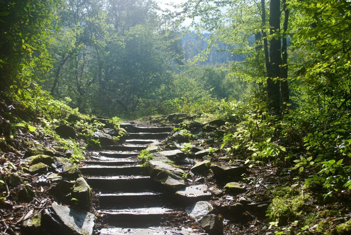 walking trail steps in Great Smoky Mountains