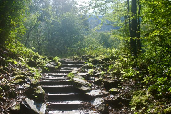 walking trail steps in Great Smoky Mountains